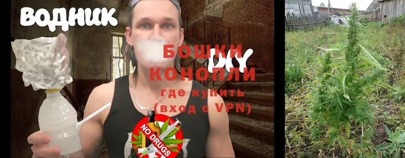 Бошки Шишки OG Kush  купить   Уссурийск 